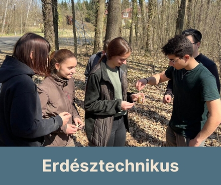 Erdsz