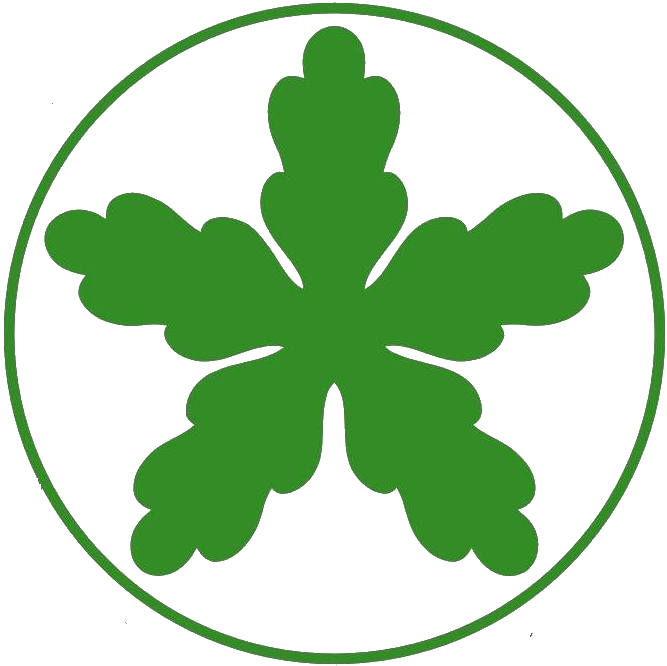 Erdszcsillag
